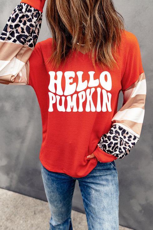 Graphic Print Leopard Striped Sleeve V Neck Top