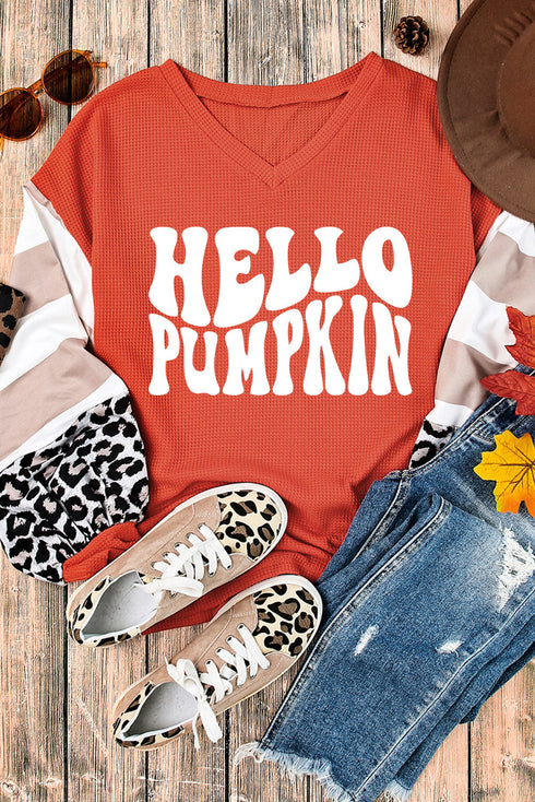 Graphic Print Leopard Striped Sleeve V Neck Top