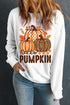 Hello Pumpkin Seasonal Graphic Crew Neck Sweatshirt