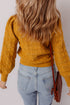 Intricate Pointelle Knit Balloon Sleeve Mock Neck Pullover Sweater