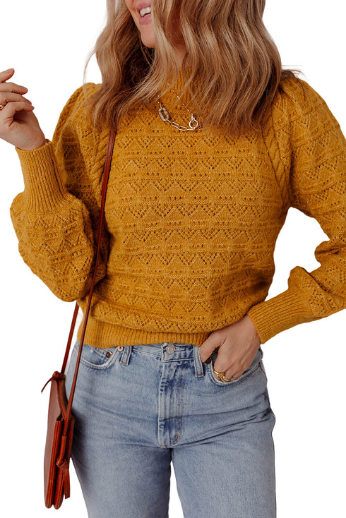 Intricate Pointelle Knit Balloon Sleeve Mock Neck Pullover Sweater