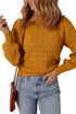 Intricate Pointelle Knit Balloon Sleeve Mock Neck Pullover Sweater
