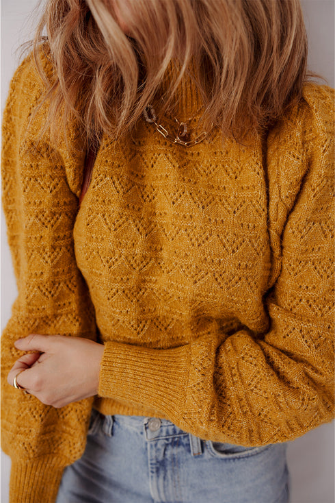 Intricate Pointelle Knit Balloon Sleeve Mock Neck Pullover Sweater