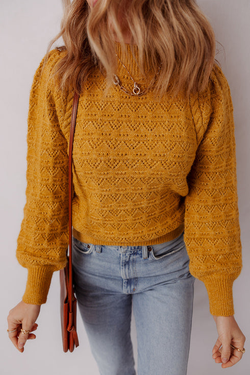 Intricate Pointelle Knit Balloon Sleeve Mock Neck Pullover Sweater