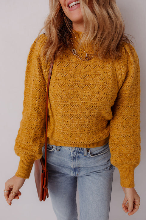 Intricate Pointelle Knit Balloon Sleeve Mock Neck Pullover Sweater
