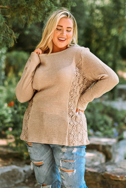 Khaki Plus Size Lace Waffle Knit Top