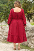 Lace Up Ruched Front Ruffle Hem Long Sleeve A-Line Plus Size Midi Dress