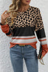 Leopard Color Block Crewneck Long Sleeve Top