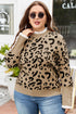 Leopard Jacquard Lace Ruffle Trim Button Cuff Sweater