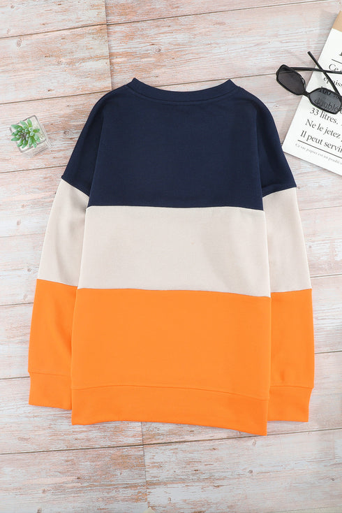 Leopard Print Color Block Drop Shoulder Pullover Sweatshirt