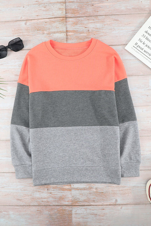 Leopard Print Color Block Drop Shoulder Pullover Sweatshirt