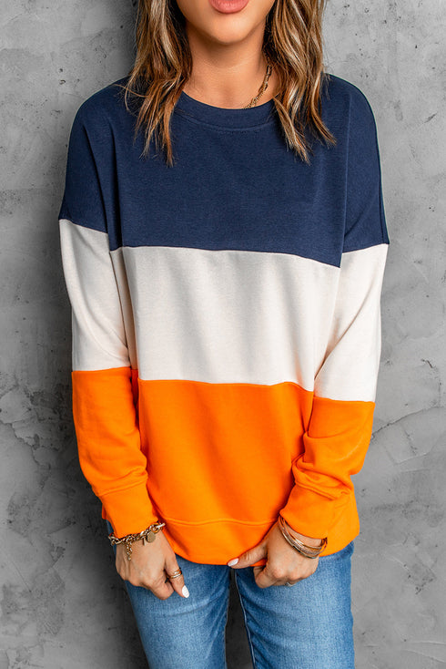 Leopard Print Color Block Drop Shoulder Pullover Sweatshirt