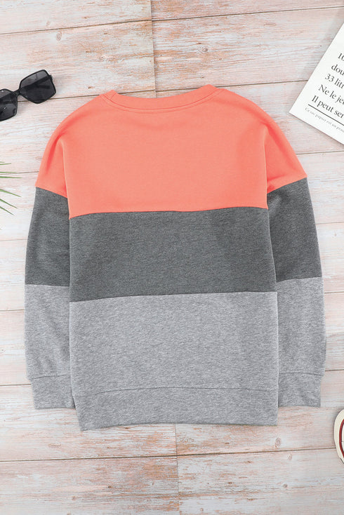 Leopard Print Color Block Drop Shoulder Pullover Sweatshirt