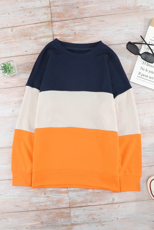 Leopard Print Color Block Drop Shoulder Pullover Sweatshirt