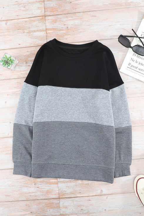Leopard Print Color Block Drop Shoulder Pullover Sweatshirt