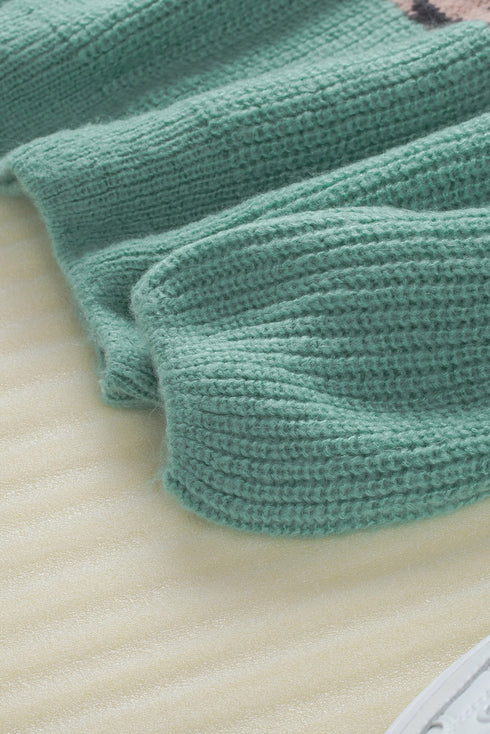 Leopard Print Color Block V Neck Sweater