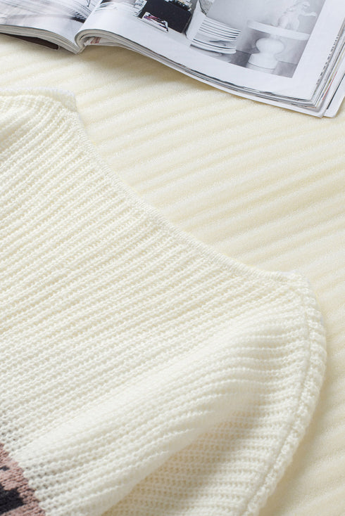 Leopard Print Color Block V Neck Sweater