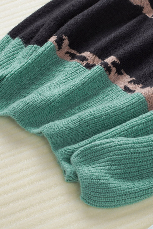 Leopard Print Color Block V Neck Sweater