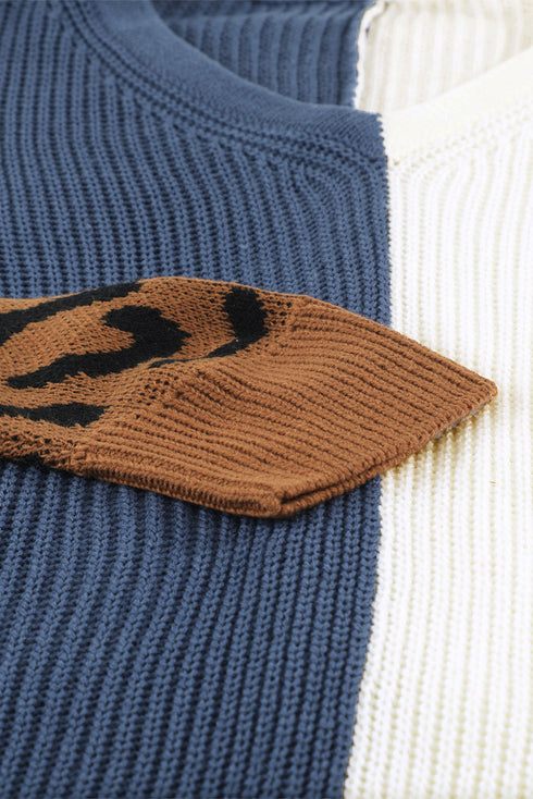 Leopard Print Contrast Color V Neck Sweater