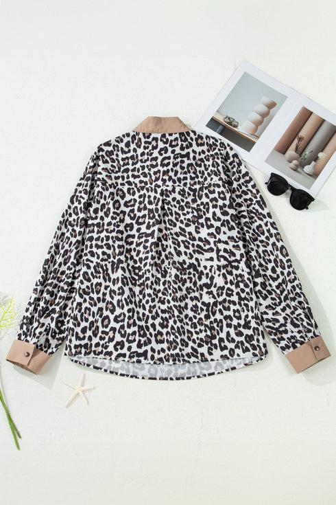 Leopard Print Contrast Trim Split Neck Long Sleeve Top