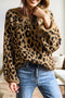 Leopard Print Drop Shoulder Ribbed Trim Crew Sweater