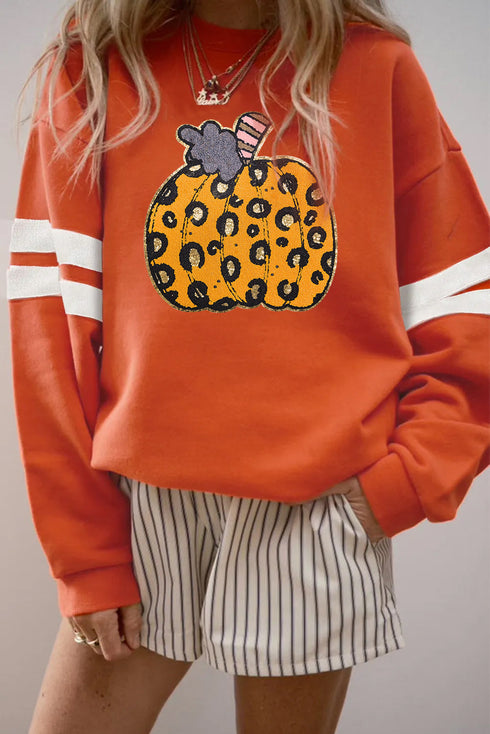 Leopard Print Graphic Varsity Stripe Pullover Sweatshirt