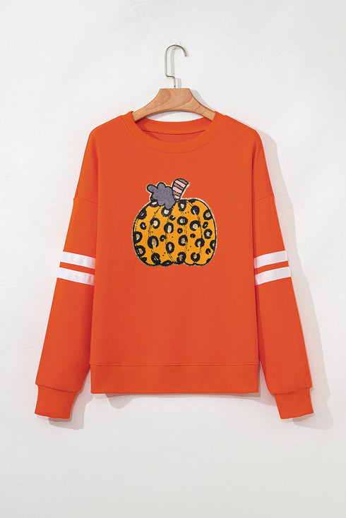 Leopard Print Graphic Varsity Stripe Pullover Sweatshirt