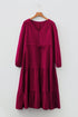 Long Sleeve Button Front Drawstring Waist Maxi Dress