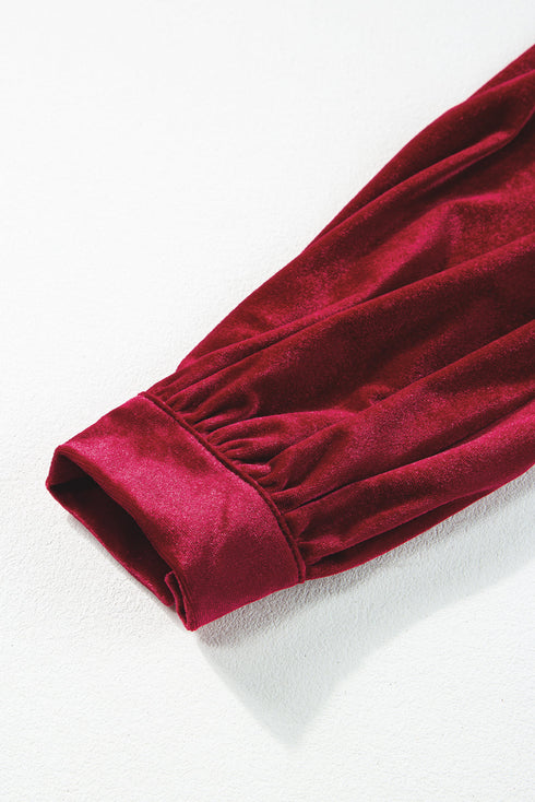 Long Sleeve Velvet Button Front Tiered Midi Dress