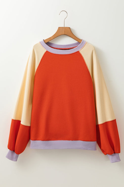 Loose Fit Raglan Sleeve Side Slit Panel Design Top