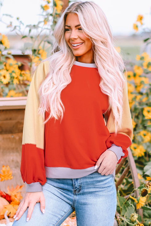 Loose Fit Raglan Sleeve Side Slit Panel Design Top