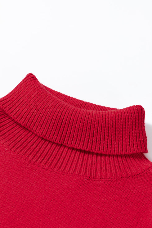 Merry Script Graphic Sequin Sleeve Turtleneck Sweater