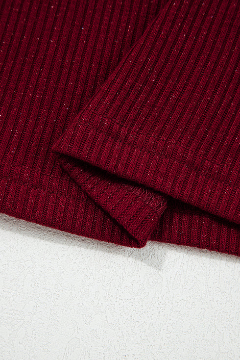 Metallic Thread Ribbed Knit Slim Fit Top