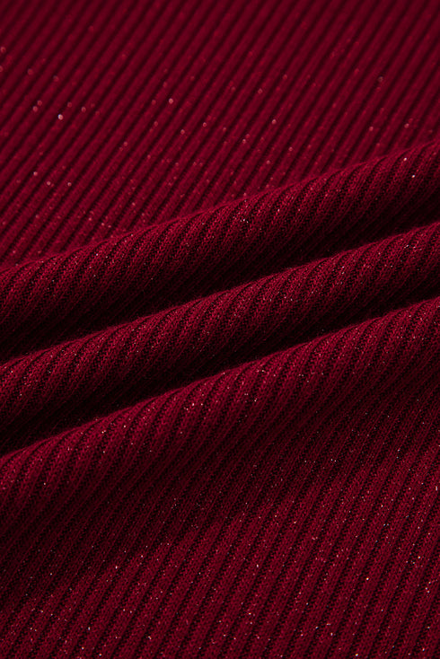 Metallic Thread Ribbed Knit Slim Fit Top