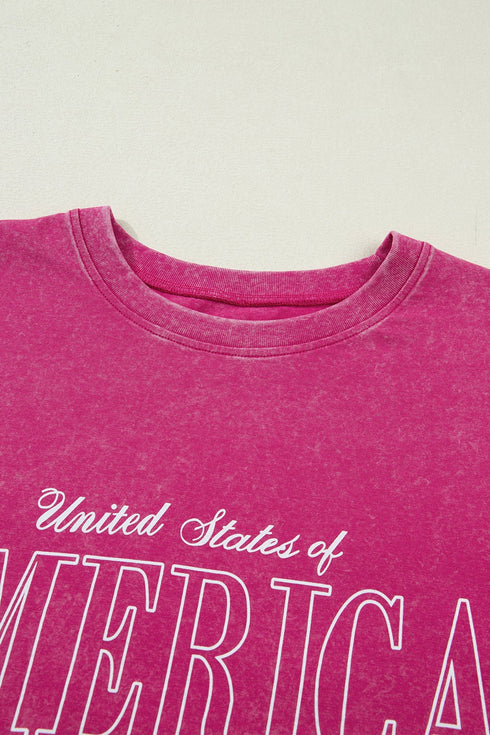 Mineral Wash America Graphic Pure Cotton Tee