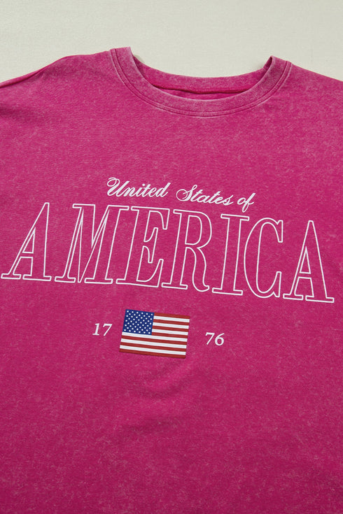 Mineral Wash America Graphic Pure Cotton Tee