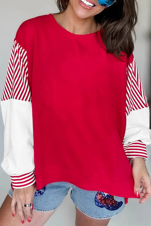 Mixed Pattern Striped And Leopard Sleeve Pullover Sweatshirt