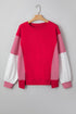 Mixed Pattern Striped And Leopard Sleeve Pullover Sweatshirt
