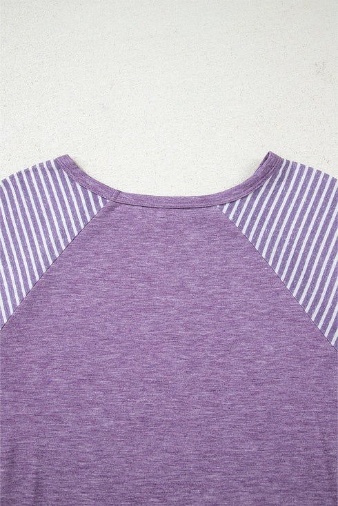 Mixed Print Raglan Sleeve Heathered Knit Top