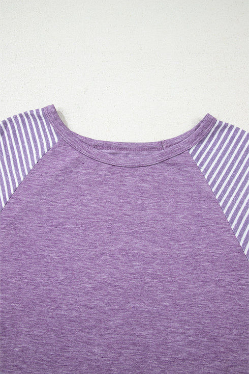 Mixed Print Raglan Sleeve Heathered Knit Top