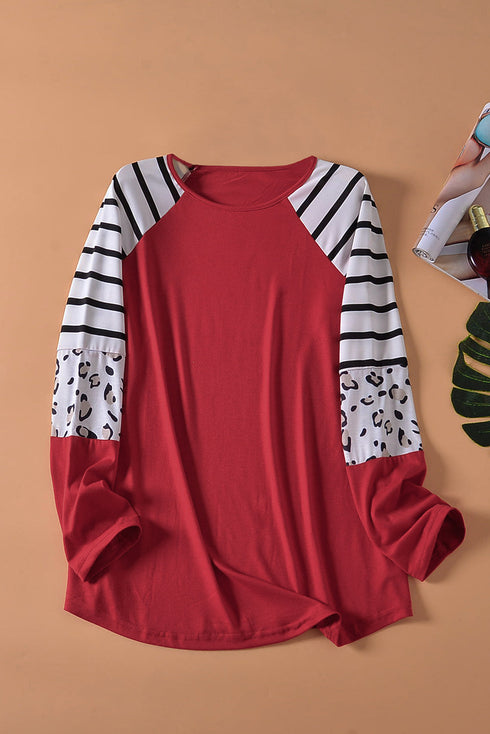 Mixed Print Stripe And Animal Pattern Long Sleeve Top