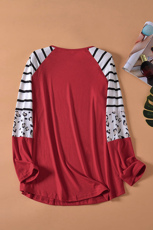 Mixed Print Stripe And Animal Pattern Long Sleeve Top
