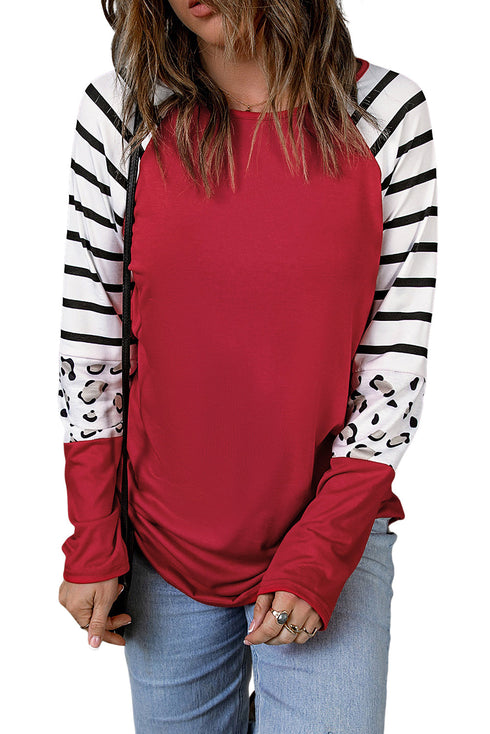 Mixed Print Stripe And Animal Pattern Long Sleeve Top