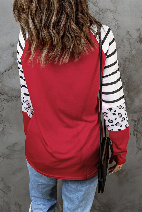 Mixed Print Stripe And Animal Pattern Long Sleeve Top