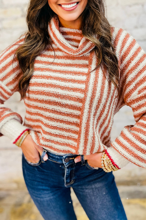 Mixed Stripe Textured Cowl Neck Pullover Sweater