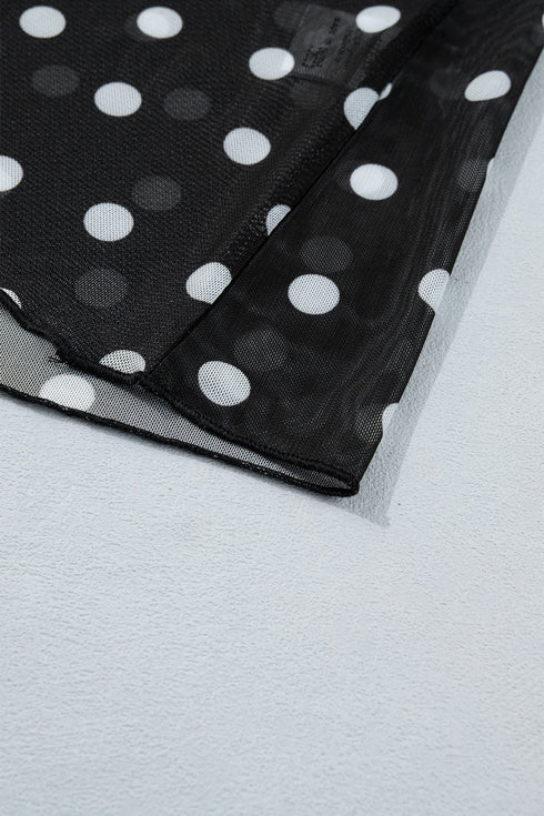 Mock Neck Polka Dot Sheer Mesh Long Sleeve Top