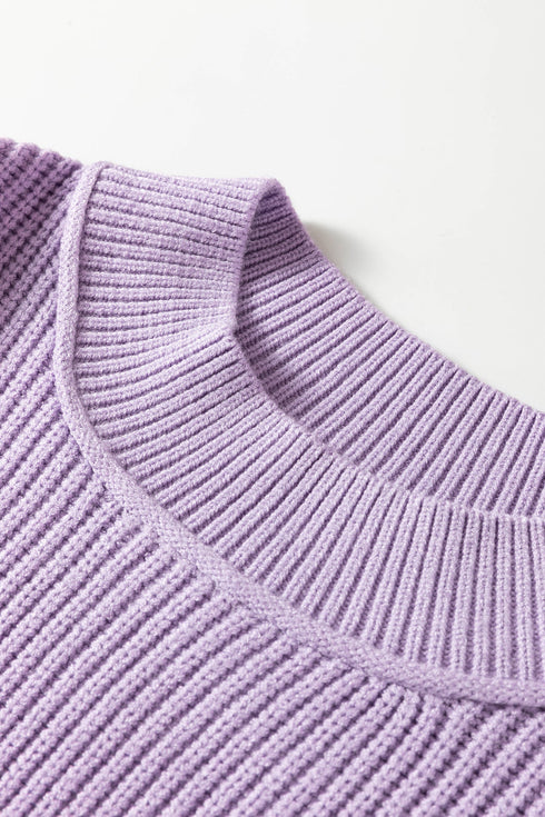 Modern Ribbed Knit Stand Neck Long Sleeve Sweater