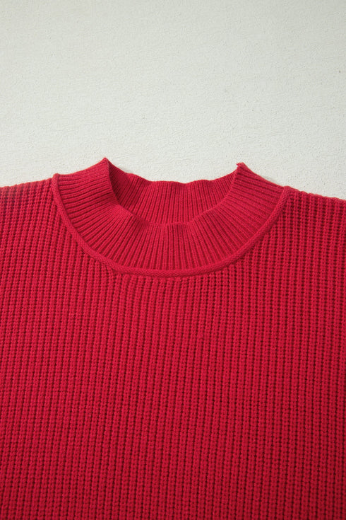 Modern Ribbed Knit Stand Neck Long Sleeve Sweater