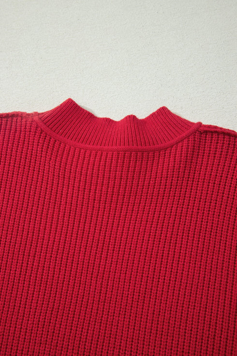 Modern Ribbed Knit Stand Neck Long Sleeve Sweater
