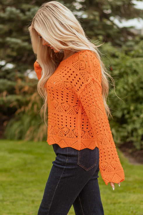 Open Knit Scalloped Hem Long Sleeve Pullover Sweater